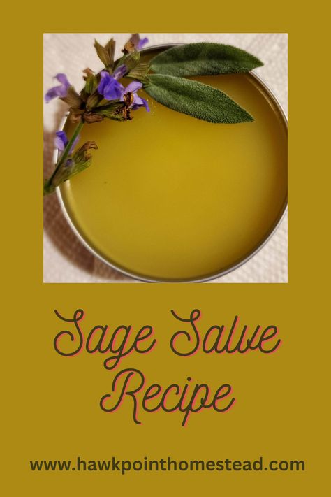 This recipe for how to make sage salve is an easy-to-make useful herbal salve. Making salves from herbs and other medicinal plants and weeds is a fun beneficial activity. This salve made from sage has many benefits. Sage Healing, Sage Salve Recipe, Sage Medicinal Recipes, Eggplant Salve Benefits, Sage Oil Benefits, Uses For Sage, Sage Tea Benefits, Herbal Salves Recipes, Sage Salve