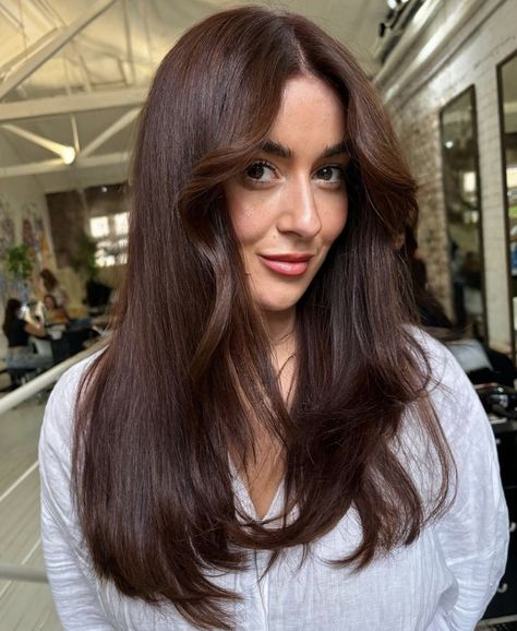 Gloss On Dark Brown Hair, Dark Brown Hair To Auburn, 70s Brown Hair, Brown Hair With Auburn Undertones, Subtle Red Brown Hair, Auburn Dark Hair, Dark Auburn Highlights In Brown Hair, Cherry Chocolate Hair Color Brunettes, Cherry Dark Brown Hair