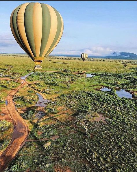 Swahili Culture, Wildebeest Migration, Tanzania Travel, The Great Migration, Kenya Safari, Tanzania Safari, Serengeti National Park, Safari Adventure, Beautiful Places On Earth