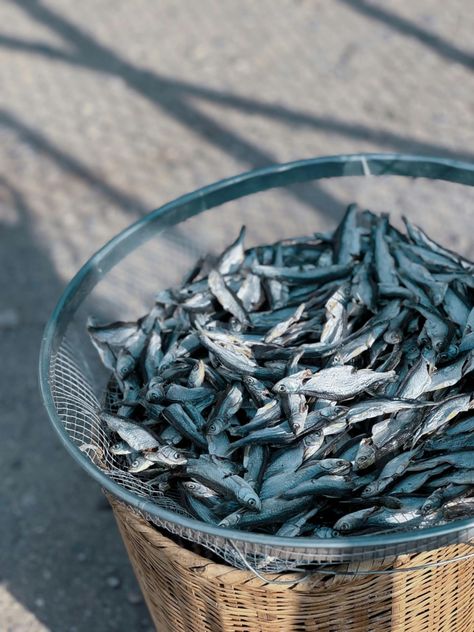 1-Sprats Top Oily Fish - Marketing Top Content Best Oil To Fry Fish, Oily Fish, Japanese Fish Market, Pelagic Fish, Japan Fish Market, Green Spotted Puffer Fish, Tiny Fish, Food Source, Fish Sauce