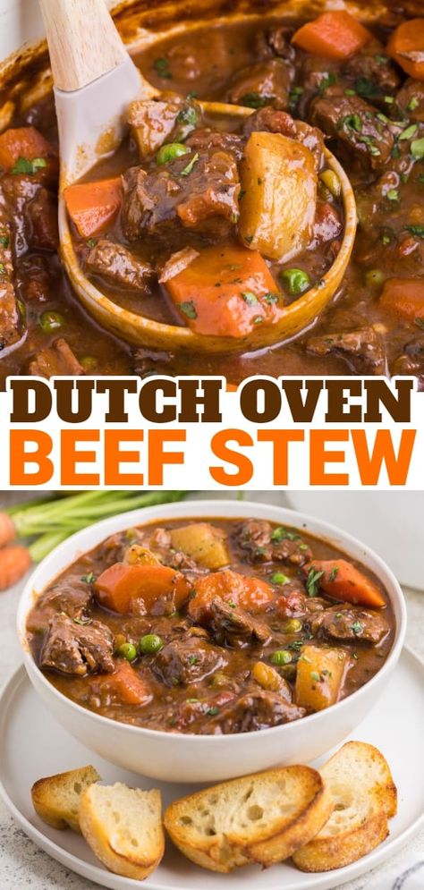 One Pot Beef Stew Stove, Hearty Dutch Oven Beef Stew, Dutch Oven Beef Stew Stove Top, Beef Stew Mashed Potatoes, Ditch Oven Beef Stew, Stew Meat In Dutch Oven, Beef Stew With Dumplings Dutch Oven, Homemade Beef Stew Stove Top, Stew On Stovetop