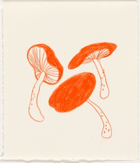 Orange, Drawings, White