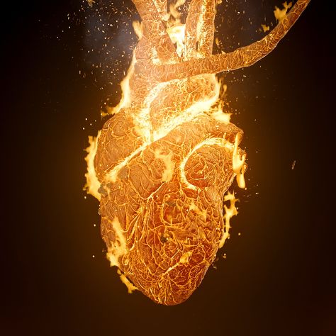 Burning Heart Aesthetic, Burning Bible, Callisto Regulus, Anatomically Correct Heart, Heart On Fire, Heart Exploding, Burning Heart, Yin Yang Art, Eldest Daughter