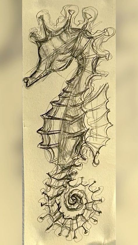 Seahorses Drawings, Sea Horse Drawings, Sea Life Sketches, Unique Sketch Ideas, Seahorse Drawings, Sea Creature Drawings, Seahorse Sketch, Sea Horse Drawing, Sea Sketches