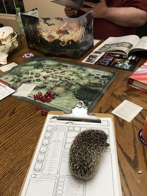 Sir Thimblehog Playing Dnd Aesthetic, Waterdeep Dnd, Wire Organization, Geek Aesthetic, Dnd Aesthetic, School Gadget, Clever Gadgets, Fantasy Role Playing, Capture The Moment