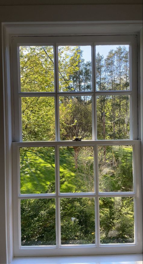 Trees Through Window, Window Frame Aesthetic, Pretty Windows, Single Pane Windows, Comfy Room, Minimalist Window, Window Views, Nature Room, Cottage Aesthetic