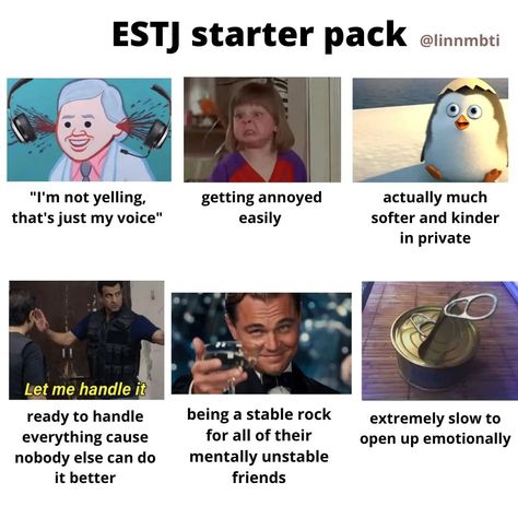 Esfj Starter Pack, Estj Memes Funny, Mbti Starter Pack, Istj Personality Memes, Estj Aesthetic Vibes, Estj Character, Estj Aesthetic, Violet Moodboard, Estj Mbti