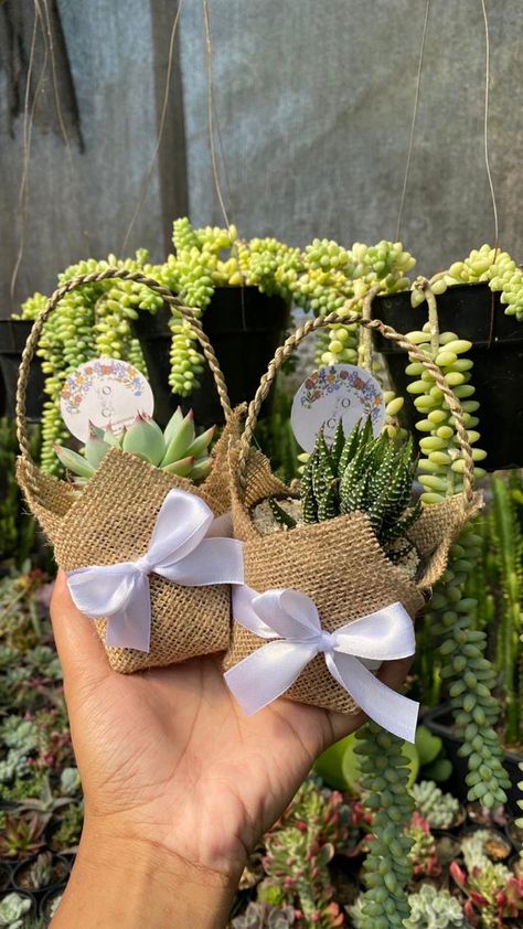 This is such a beautiful wedding souvenir, you can put a succulent or cactus in it. For plants lover it's gonna be extremely gorgeous. Cactus Souvenir Ideas, Succulent Guest Favors, Mini Succulents Favors, Succulents Souvenirs, Succulent Giveaways Wedding Favours, Souvenir Ideas, Cactus Wedding, Wedding Souvenir, Small Thank You Gift