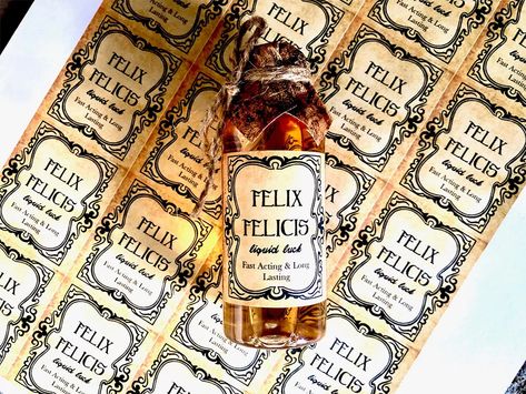 Harry Potter Brief, Hp Wedding, Harry Potter Favors, Harry Potter Bridal Shower, Magic Potion Bottles, Harry Potter Book Covers, Witchcraft Herbs, Harry Potter Wedding Theme, Potion Labels