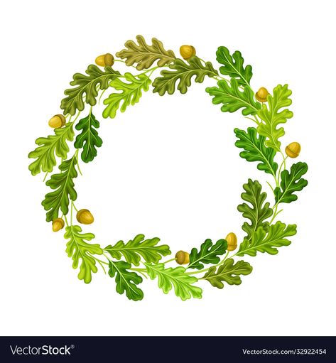 Acorn Drawing, Oak Wreath, Wreath Vector, Wreath Illustration, Wreath Drawing, Leaf Border, Oak Leaf, Decorative Elements, Fabric Art