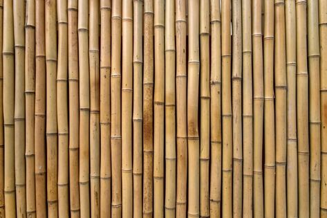 Bamboo texture | Free Photo #Freepik #freephoto #background #texture #wood #line Bamboo Background, Bamboo Texture, Bamboo Pattern, Bamboo House, Bamboo Wall, Wall Mural Wallpaper, Material Textures, Pattern Wall, Plant Wall