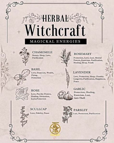 🌿✨ Embrace the magic of herbal witchcraft! ✨🌿 As herbal witches, we connect deeply with nature and harness the power of plants for healing, protection, and transformation. 🌱✨ From crafting potions and herbal remedies to creating sacred spaces, every herb has its own unique energy and purpose. 🌼🌙 Whether it's the calming properties of lavender or the protective energy of sage, each plant offers a special gift. 🌸💫 Let's celebrate the beauty of herbal magic and share our favorite herbs, recipe... Herbal Potions Recipes, Herb Properties Witch, Plants For Witchcraft, Lavender Magical Properties, Healing Herbs Witchcraft, Witchcraft Herbs Meanings, Potions Recipes Witchcraft, Herbal Magic Witchcraft, Herbology Witchcraft