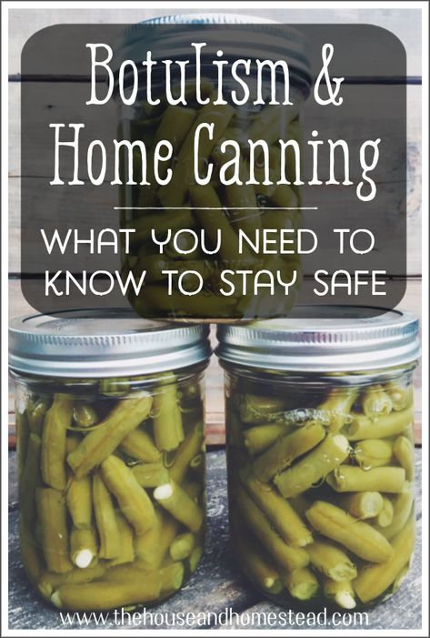 Preserve Vegetables, Organized Finances, Easy Canning, Pressure Canning Recipes, Canning Kitchen, Canning 101, Food Preserving, Home Canning Recipes, Canning Vegetables