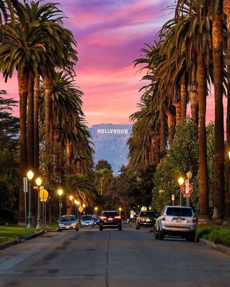 Tripscout Los Angeles on Instagram: “Streets of Hollywood.🌴 Where’s you favorite place to watch sunset?😍👇 📸:@ejimmy3 #hollywoodsign #discoverla #visitcalifornia…” Watch Sunset, Los Angeles Wallpaper, Los Angeles Aesthetic, Los Angeles Travel, California Vibe, California Summer, Hollywood Sign, Visit California, Pretty Landscapes