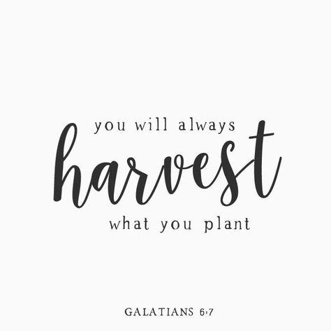 You will always harvest what you plant. Plants Quotes Life Inspiration, Harvest Quotes, Seed Quotes, Plant Quotes, Plants Quotes, Saving Quotes, Garden Quotes, Clever Quotes, Don't Judge