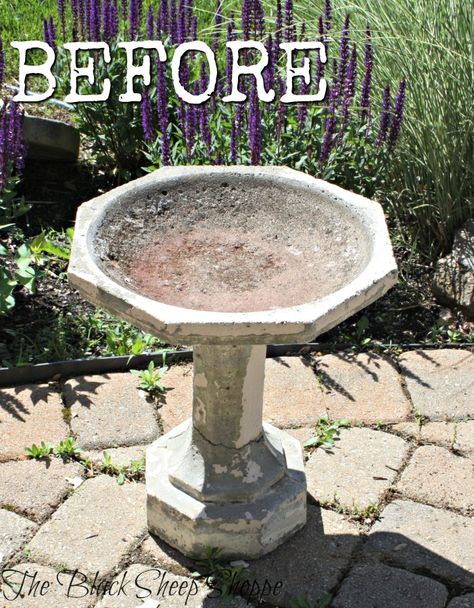 Concrete birdbath before. Painted Concrete Bird Bath, How To Paint A Concrete Bird Bath, Painting Concrete Bird Bath, Painted Birdbath Ideas, Painting A Cement Birdbath, Painted Bird Bath Ideas, Bird Bath Makeover Concrete, Painting A Bird Bath, Bird Bath Painting Ideas Concrete