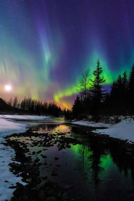 Aurora Lights, Futurisme Retro, Northern Lights (aurora Borealis), Aurora Borealis Northern Lights, Frozen Lake, The Aurora, Alam Yang Indah, Beautiful Sky, Science And Nature