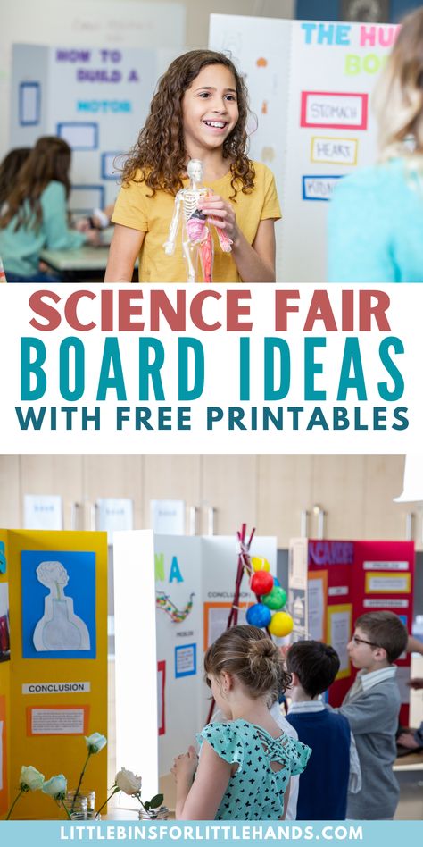 Check out our science fair boards ideas. Download and print our free printable pack for all of our science fair board ideas! Learn how to set up the best board for the kids science experiment. Kindergarten Science Fair Projects Ideas, Fishing Science Fair Projects, Science Fair Boards Display, Science Board Ideas, Science Fair Ideas Elementary, 2nd Grade Science Fair Projects, Science Fair Board Ideas, 4th Grade Science Fair Projects, Science Fair Boards