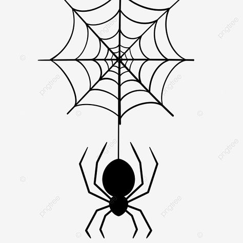 Spider Web Silhouette, Spider And Web Drawing, Halloween Drawings Spider, Spiderman Spider Drawing, How To Draw A Spider, Spider On Spider Web, Drawing Of Spider, Cute Spider Drawing, Spider Outline