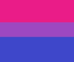 Bisexual Pride Flag, Bi Flag, 20th Birthday Party, Bisexual Flag, Yoonmin Fanart, Lgbtq Flags, Lgbt Flag, Online Friends, Wings Of Fire