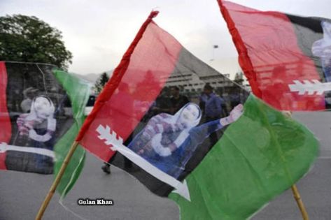 ppp flag Ppp Flag, Wind Sock, Pakistan, Blog Posts, Flag, Outdoor Decor