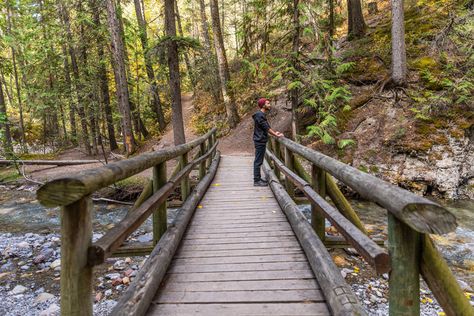 Quick Stops in Radium | Radium Hot Springs, BC Road Trips With Kids, Trips With Kids, Steep Staircase, Kootenay National Park, Gravel Path, Road Trip With Kids, Valley View, Green Space, The Visitors