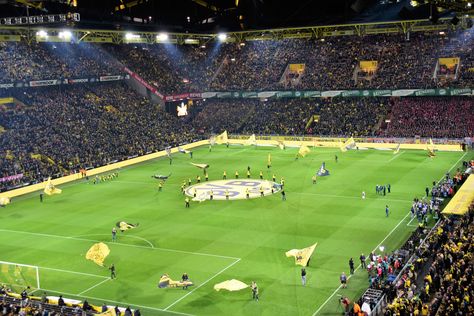 From the crowd to the field. Women can also love football, cheer and play. Her Campus, World Cup 2022, Tv Channel, Football Stadiums, College Sports, Borussia Dortmund, Football Games, Fifa World Cup, Iconic Landmarks