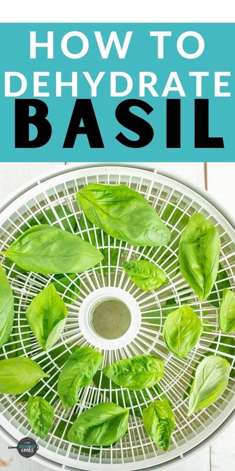 Learn how to dry basil in a food dehydrator, oven, microwave, or air-drying. Drying basil is such a simple way to preserve this delicious pantry staple! How To Dry Basil Leaves In Dehydrator, Dehydrate Basil In Dehydrator, Drying Basil Leaves Dehydrator, Dehydrating Basil In Dehydrator, How To Dehydrate Basil Leaves, How To Dehydrate Basil, How To Dry Herbs In Dehydrator, Dehydrated Herbs In Dehydrator, How To Dehydrate Herbs In Dehydrator