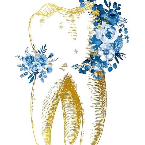 Human tooth Dental Illustration, Dental Wall Art, Dental Wallpaper, Dentist Art, Kedokteran Gigi, Teeth Art, Dentistry Student, Dental Office Decor, Human Teeth