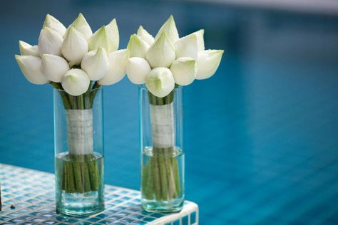 white lotus buds bouquets...for bridesmaids but I want single stem bouquets and a different color Lotus Flower Bouquet, Lotus Bouquet, Tropical Bridal Bouquet, Lotus Flower Wallpaper, Lotus Bud, Phrasal Verb, White Lotus Flower, Floating Flowers, Flowers Bouquet Gift