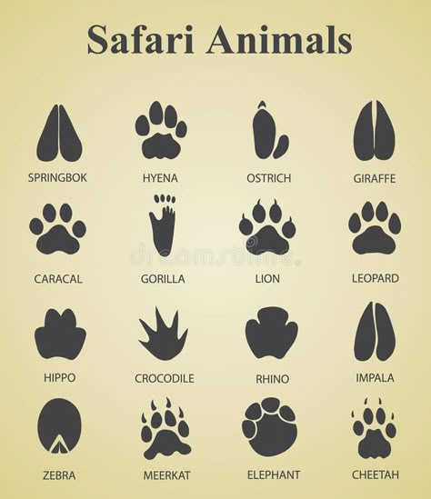 Paw Drawing, Jungle Thema, Animal Footprints, Tiger Paw, Animal Tracks, Wood Animal, Animal Illustrations, Party Animals, Safari Party