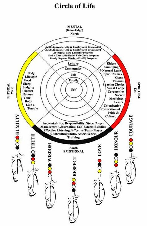 Dreamcatcher Tutorial, Atrapasueños Diy, Dream Catcher Patterns, Dream Catcher Tutorial, The Circle Of Life, Dream Catcher Native American, Dream Catcher Craft, Dream Symbols, Medicine Wheel