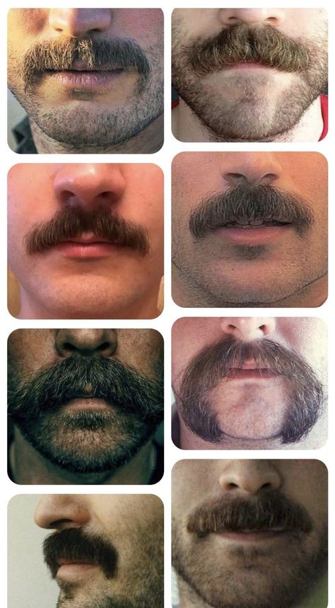 Moustache Style, Beard And Mustache Styles, Guys Grooming, Moustaches Men, Mens Facial, Mustache Styles, Men's Facial Hair, Mustache Men, Mens Facial Hair Styles