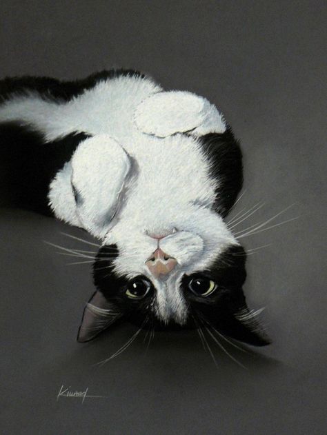 Cat Artwork, White Cats, Arte Animal, Cat Portraits, Cat Painting, Cat Drawing, Beautiful Cats, 귀여운 동물, White Cat