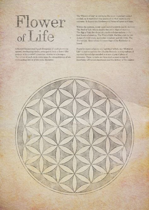 'Flower of Life' - A2 Poster design by uP'n'@tOm The Flower Of Life, Sacred Geometry Symbols, Muster Tattoos, Geometric Sleeve, Sacred Geometry Art, Geometry Art, Sacred Symbols, Trendy Tattoos, Flower Mandala