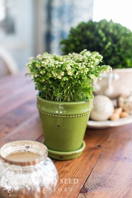 Diy Plant Gifts, Frosty Fern, Plants Porch, Christmas Fern, Cozy Home Decor Ideas, Porch Sitting, House Green, Green Cottage, Flower Pot Design