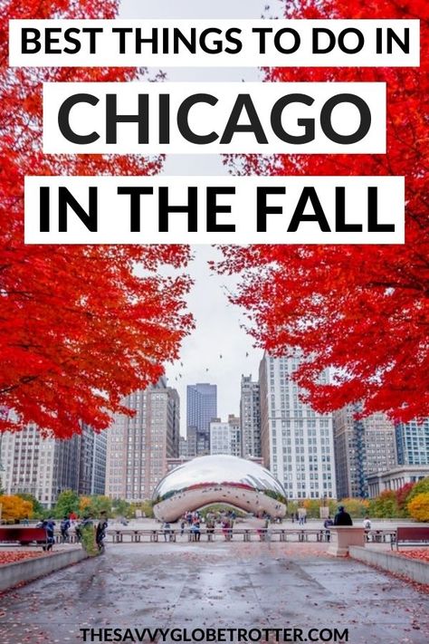 Best Things to Do in Chicago In The Fall (From A Local!) Chicago In October Things To Do In, Chicago In November, Chicago In The Fall, Things To Do In Illinois, Chicago With Kids, Bus App, Travel Chicago, Chicago Fall, Midwest Vacations