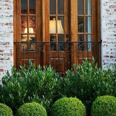 Designing a Foundation Planting Scheme | Grow Beautifully Boxwood Landscaping, Front Yard Plants, Plans Architecture, Foundation Planting, Front Landscaping, Garden Shrubs, Front House Landscaping, Iron Fence, Landscaping Tips