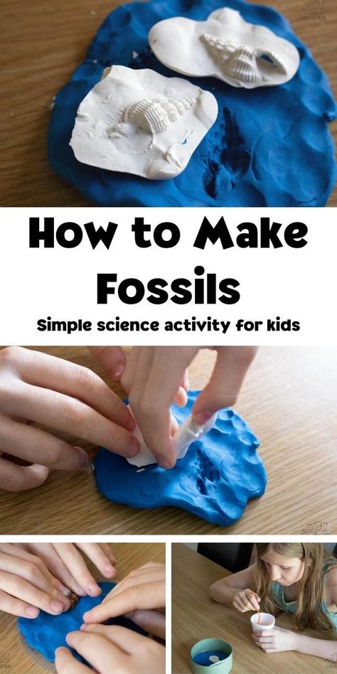 Fun and simple science experiment for kids on how to make cast and mold fossils with pictures to show the steps. Fossil Lessons Middle School, How To Make Fossils, Making Fossils In The Classroom, Fossil Science Experiment, Making Fossils With Kids, How To Make Fossils For Kids, Geology Crafts For Kids, Fossils Activities For Kids, Fossil Crafts For Kids