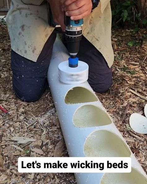 gardeningfram on Instagram: "Wicking bed build - These are very simple to make and are a very sensible water saving solution in the Australian il Nino context! These beds will be used to  grow an abundance of herbs and salad greens, and a ton of strawberries 🍓   Once the archway is overtaken by pumpkin vines and full sun cannot be achieved, we will swap out some of the full sun herbs for shade lovers! It's an ingenious system that is easily adapted with very little effort!  Credit: plantbasedmale Follow @gardeningfram  What is your favorite shirt⁠ 💥 𝗦𝗛𝗢𝗣 𝗡𝗢𝗪 🔥𝗟𝗜𝗡𝗞 𝗜𝗡 𝗠𝗬 𝗕𝗜𝗢 👆🏻 𝗦𝗵𝗶𝗽𝗽𝗶𝗻𝗴 ✈️⁠  #gardening #urbangardening #organicgardening #gardeninglife #gardeningtips #gardeningisfun #gardeningaustralia #containergardening #indoorgardening #thehappygardeninglife Water Saving Garden Ideas, Vegetable Gardens Ideas Backyard, Strawberry Garden Beds, Full Sun Herbs, Veggie Garden Ideas, Home Vegetable Garden Design, Wicking Garden Bed, Strawberry Beds, Pot Gardening