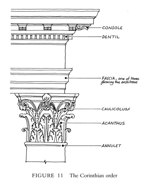 Corinthian Order Sketch, Corinthian Order Drawing, Corinthian Order Architecture, Exterior Stone Wall Cladding, Corinthian Pillar, Corinthian Order, Columns Decor, Corinthian Columns, Architectural Orders