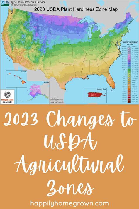 The USDA has updated the agricultural zones/plant hardiness maps for the first time in over a decade. Did your zone change? Usda Plant Hardiness Zone Map, Zone Map For Gardening, Usda Hardiness Zone Map, Grow Zones Map, Plant Zone Map, Usda Zones Maps, Flower Zones Map U.s. States, Growing Zones Map United States, Zone Planting Map