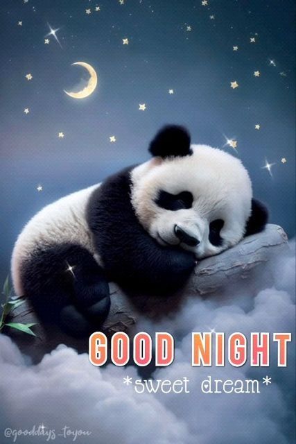 Good Morning Afternoon Evening Night, Morning Afternoon Evening Night, Indian Emblem Wallpaper, Panda Bears Wallpaper, Panda Background, Sleeping Panda, Cute Panda Cartoon, Cute Owls Wallpaper, Teddy Bear Wallpaper