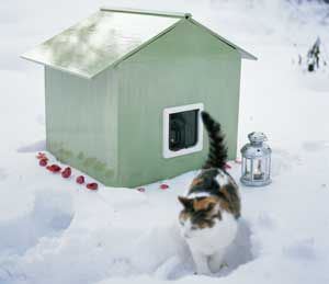 Katt Hus, Katt Diy, Katt Grejer, Shed, Outdoor Structures, Pins