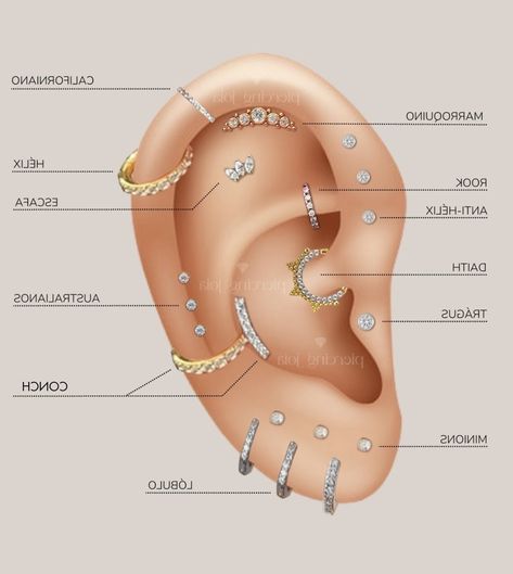 Ear Piercings Labeled, Ear Piercing Ideas Chart Names, Ear Peirce Chart, Types Of Ear Piercings Names, Piercings Ear Chart, Earings Piercings Names, Ear Piercing Map, Ear Piercing Ideas Chart, Ear Piercings Names