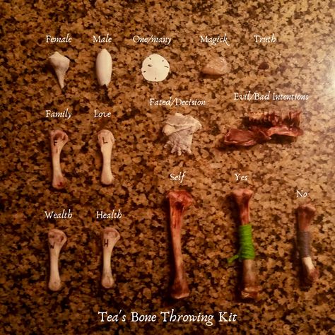 How To Read Throwing Bones, Throwing Bones Divination, Bone Throwing Divination, Bone Witchcraft, Bone Divination, Bone Magic, Throwing Bones, Bone Throwing, Bone Reading