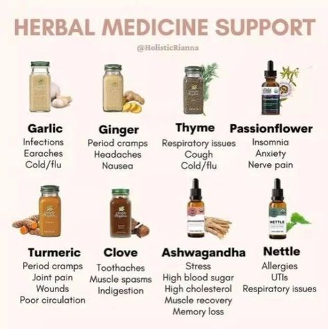 Organic Live Food on Twitter: "Healing Herbs 🌿 https://t.co/A7Nxo0PSpW https://t.co/1rdFcgUyi4" / Twitter Herbal Medicine Cabinet, Herbal Remedies Recipes, Medicinal Herbs Garden, Eastern Medicine, Medical Herbs, Magic Herbs, Herbal Recipes, Herbal Apothecary, Natural Healing Remedies