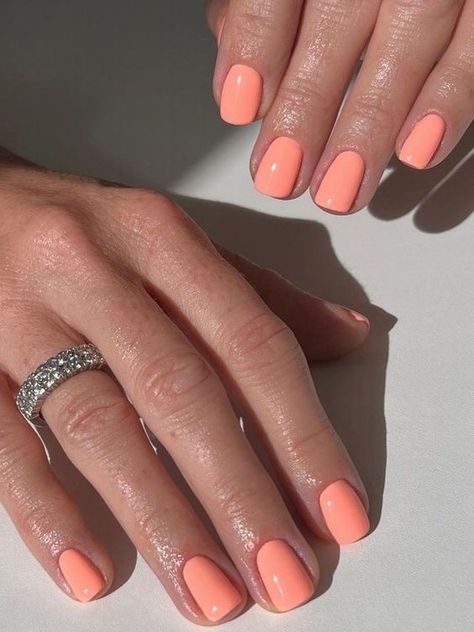 2024 Trending Summer Peach Nails: Pastel, Coral Glitter Designs for Short & Almond Shapes Summer Nail 2024 Trends Orange, Coral Pink Nail Polish, Summer 2024 Manicure, Manicure Ideas For Short Nails Summer, Summer Nails Colors 2024, Spring Dip Nails 2024 Trends, 2024 Dip Nail Trends, Orange Summer Nails 2024, Pastel Coral Nails