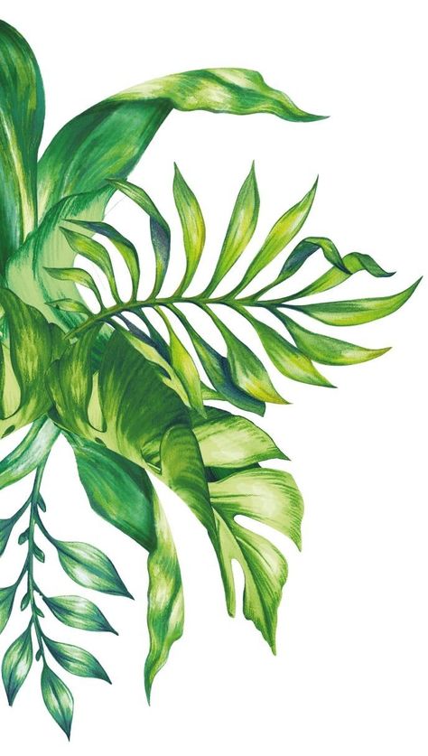 Leaf Drawing Watercolour, Tropical Plants Drawing, Spring Digital Art, Tropical Flowers Illustration, Beautiful Pencil Drawings, Flowers Illustration, Leaf Drawing, 수채화 그림, Plant Painting