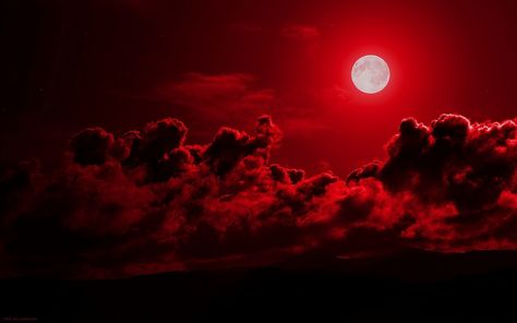 Beatiful red solar eclipse from today 8/21/17 Moon Wallpapers, Hd Dark Wallpapers, Wallpaper Estetika, Moon Wallpaper, Fb Cover, White Moon, Black Background Wallpaper, Creative Graphics, Space Black